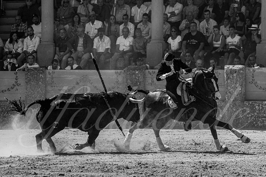 20220903 ronda rejoneo 012 copie