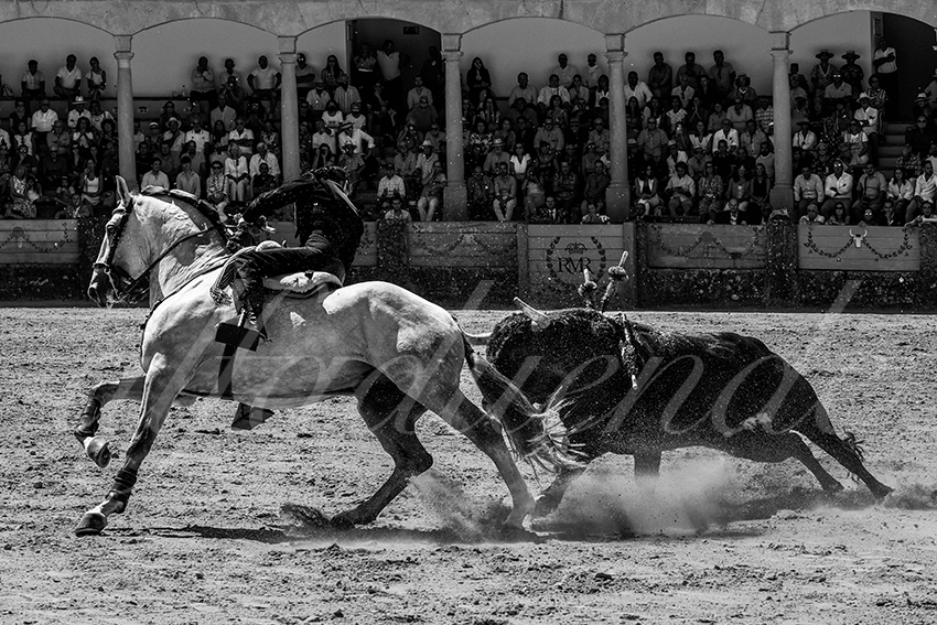 20220903 ronda rejoneo 013 copie