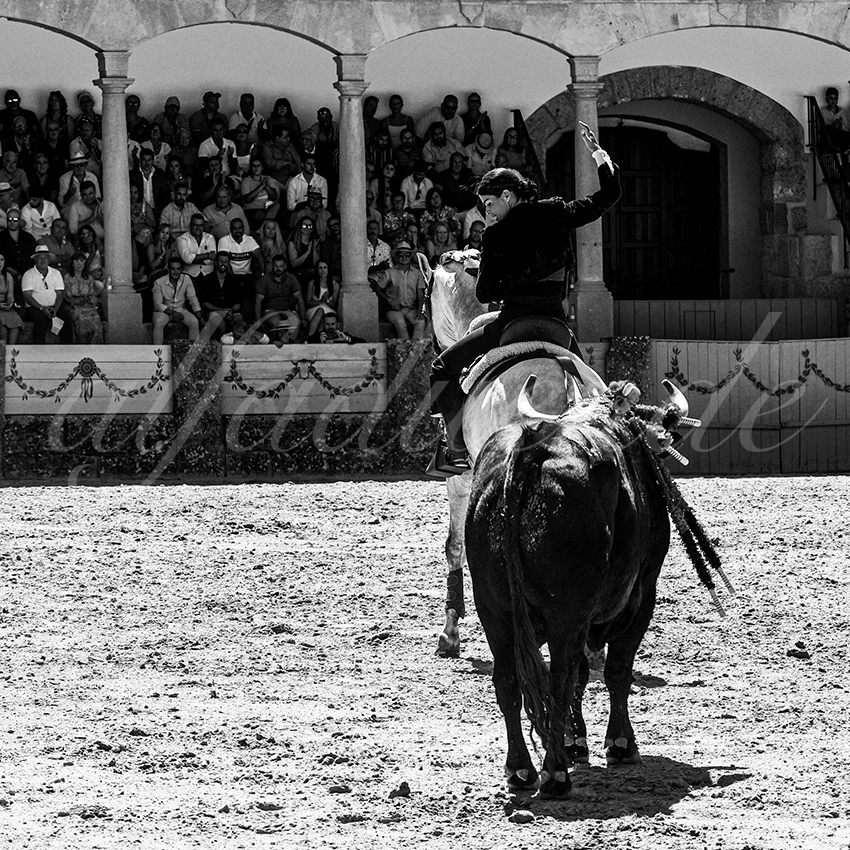 20220903 ronda rejoneo 014 copie