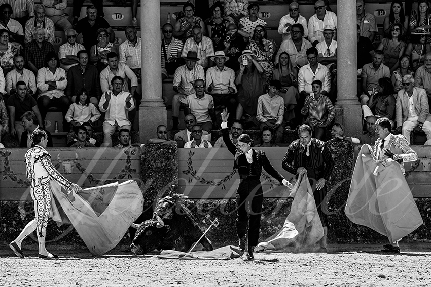 20220903 ronda rejoneo 015 copie