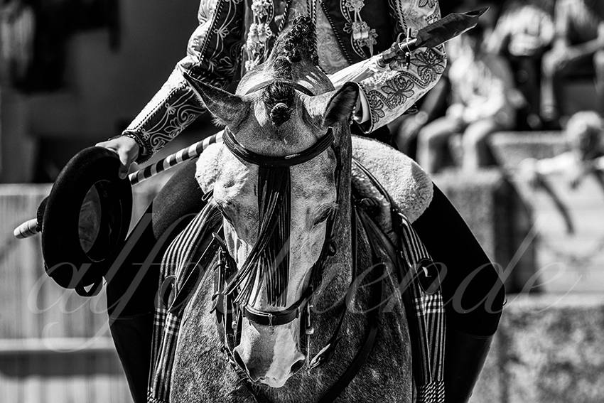 20220903 ronda rejoneo 016 copie