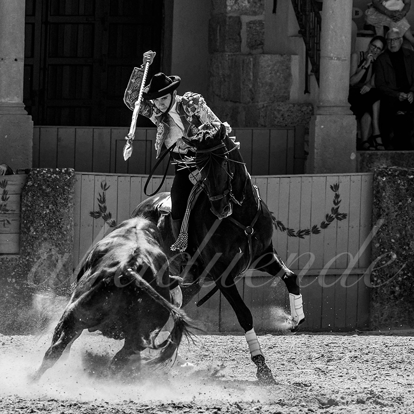 20220903 ronda rejoneo 017 copie