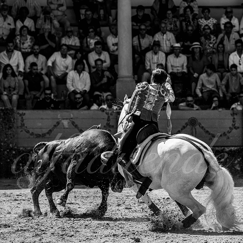 20220903 ronda rejoneo 018 copie