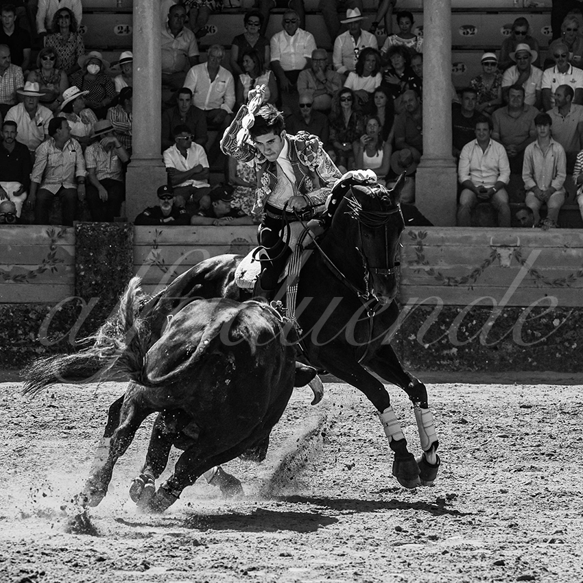 20220903 ronda rejoneo 020 copie