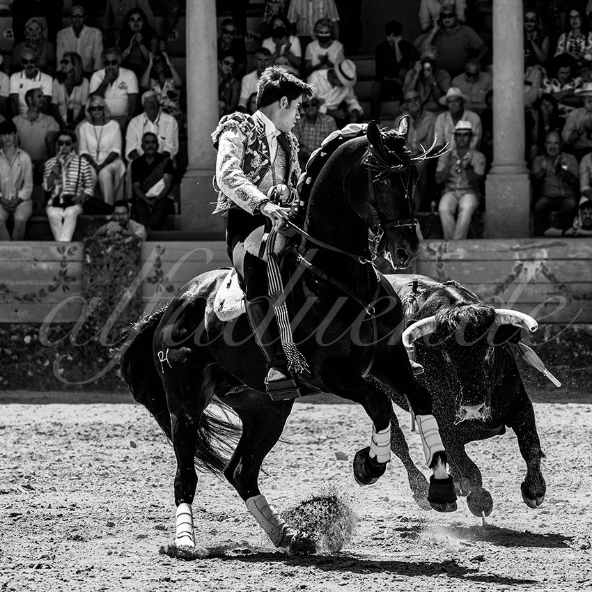 20220903 ronda rejoneo 021 copie