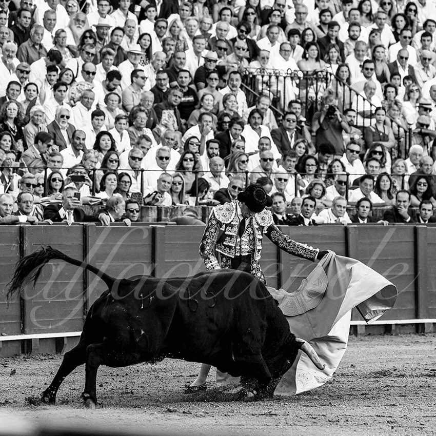 20220924 sevilla 006