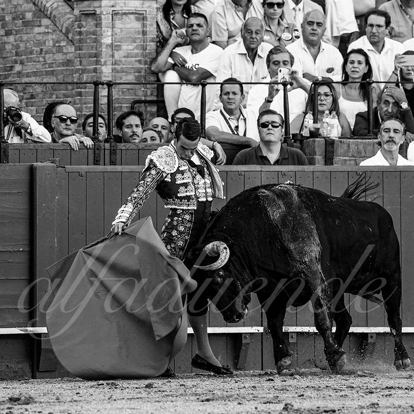 20220924 sevilla 009