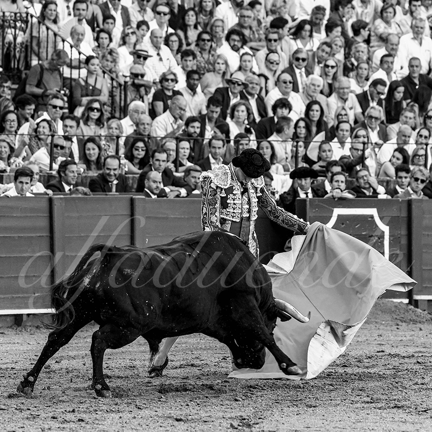 20220924 sevilla 014