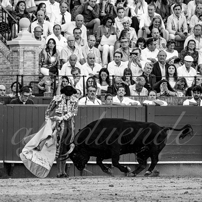 20220924 sevilla 015