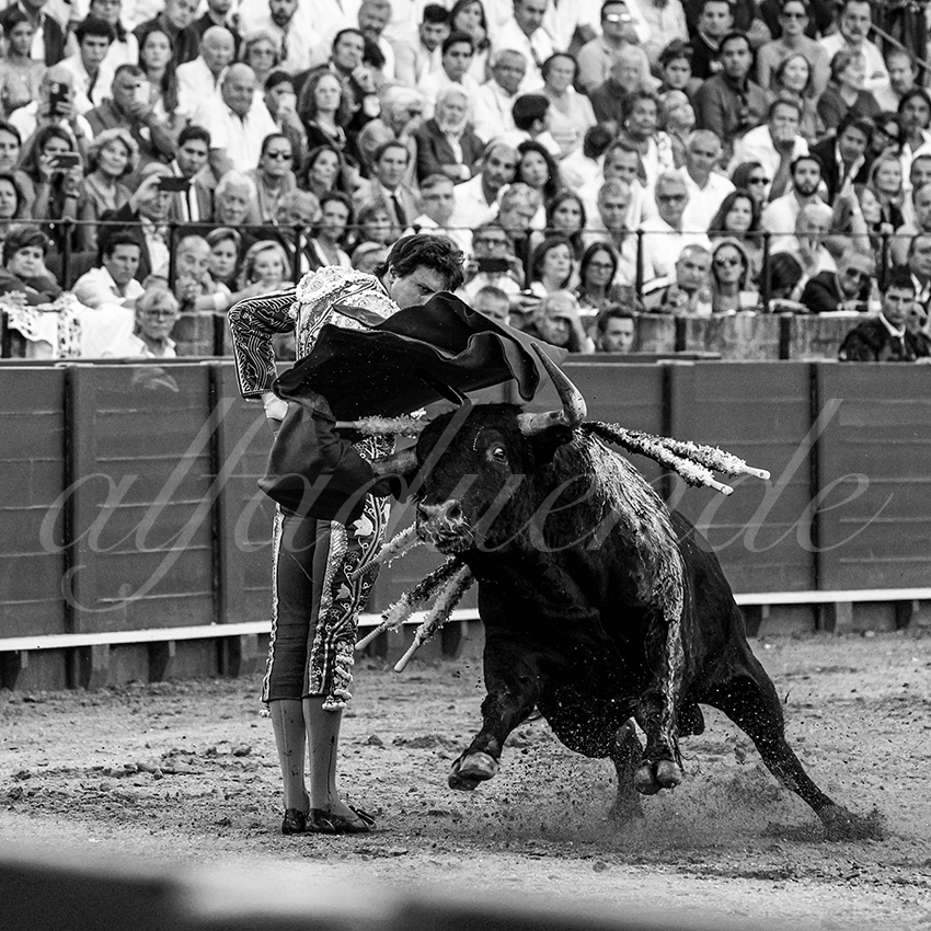 20220924 sevilla 019