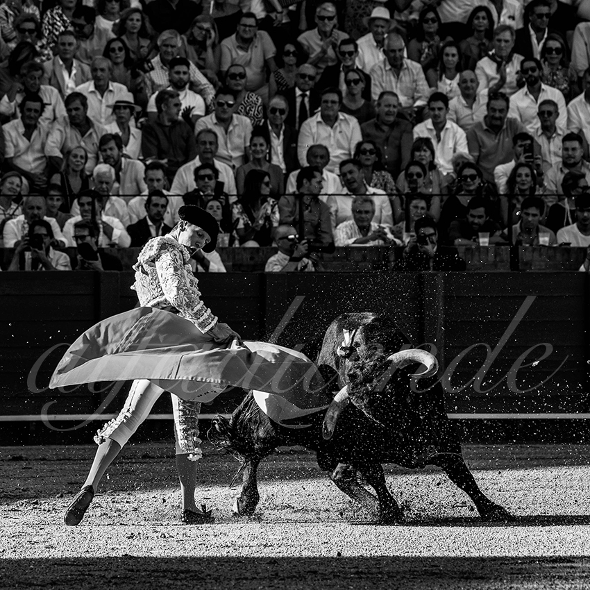 20220924 sevilla 025