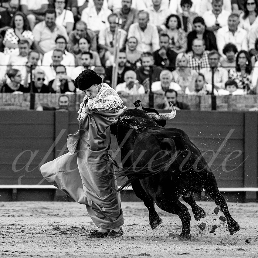 20220924 sevilla 027