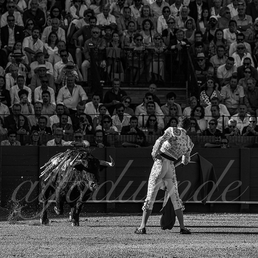 20220924 sevilla 029