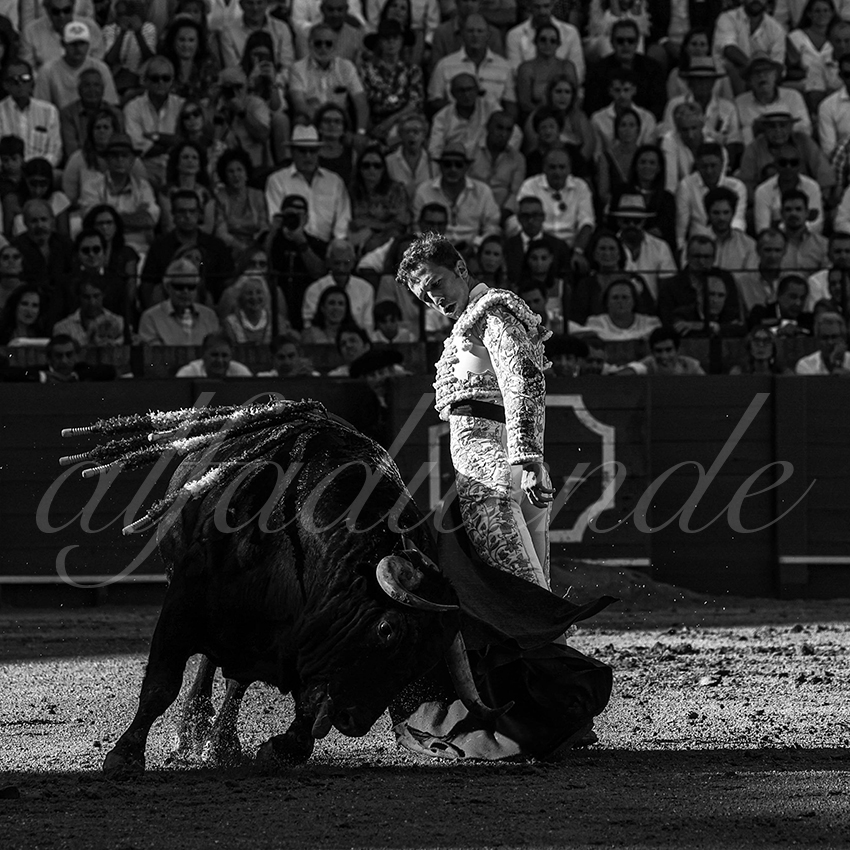 20220924 sevilla 030