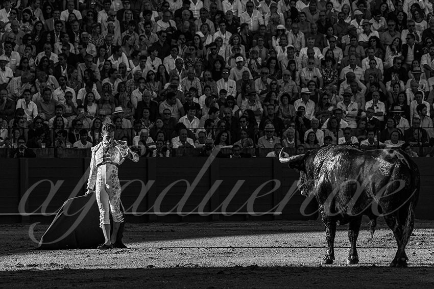 20220924 sevilla 031