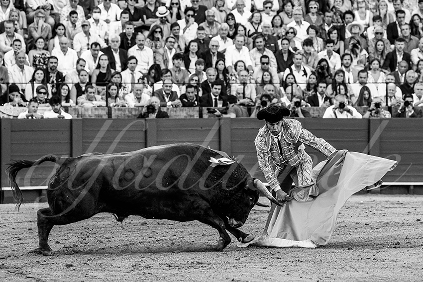 20220925 sevilla 005