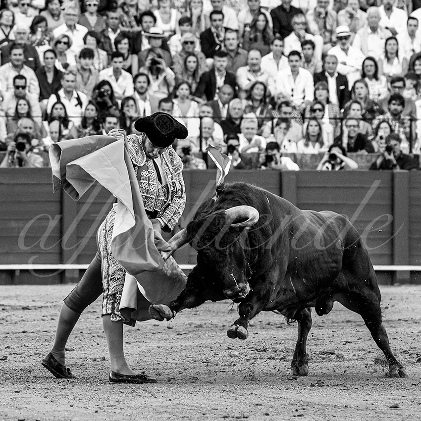 20220925 sevilla 006