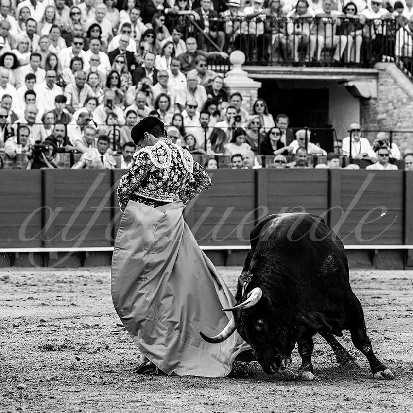 20220925 sevilla 010