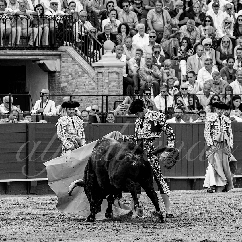 20220925 sevilla 012