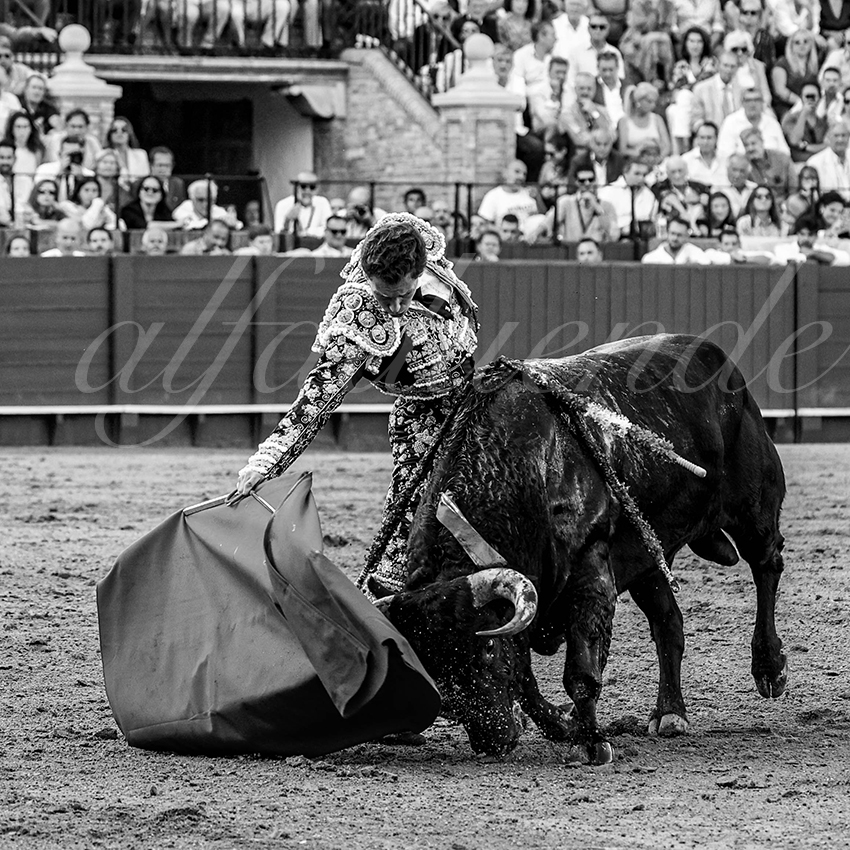 20220925 sevilla 015