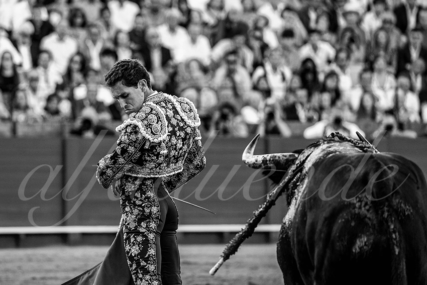 20220925 sevilla 017