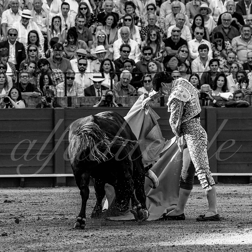 20220925 sevilla 020