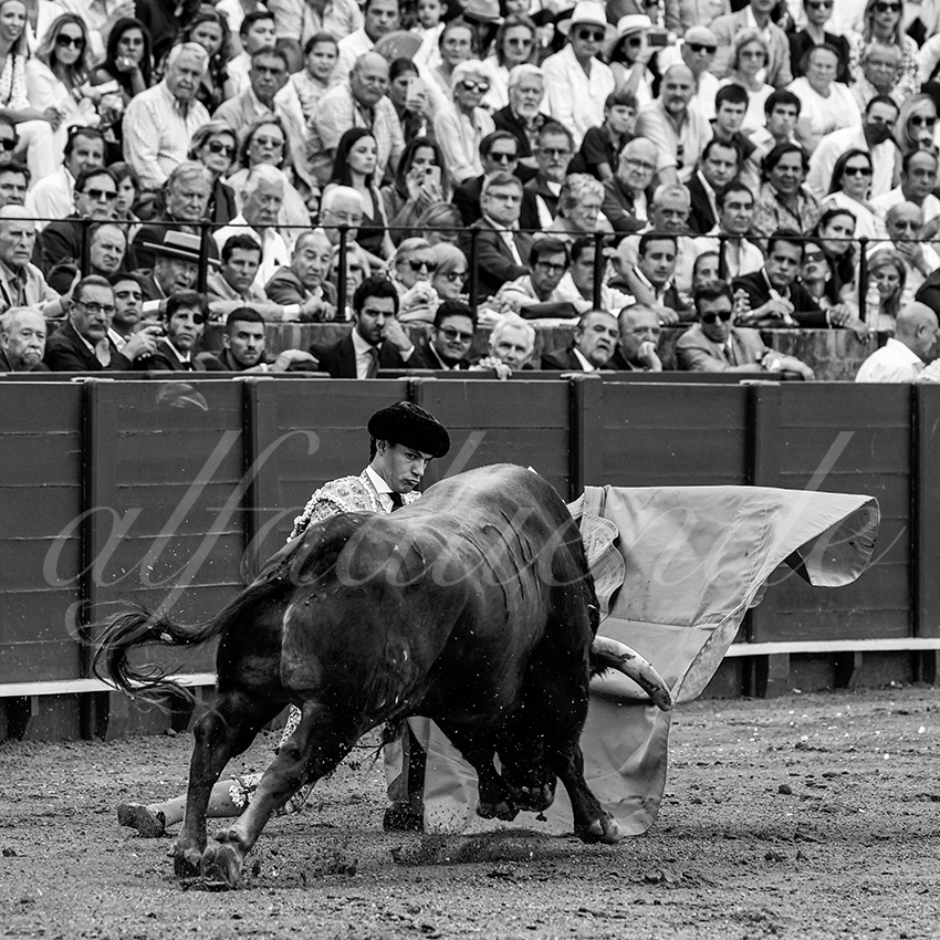 20220925 sevilla 021