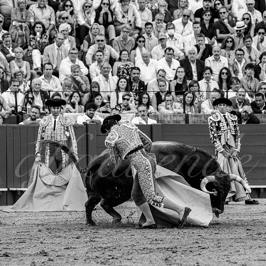 20220925 sevilla 022