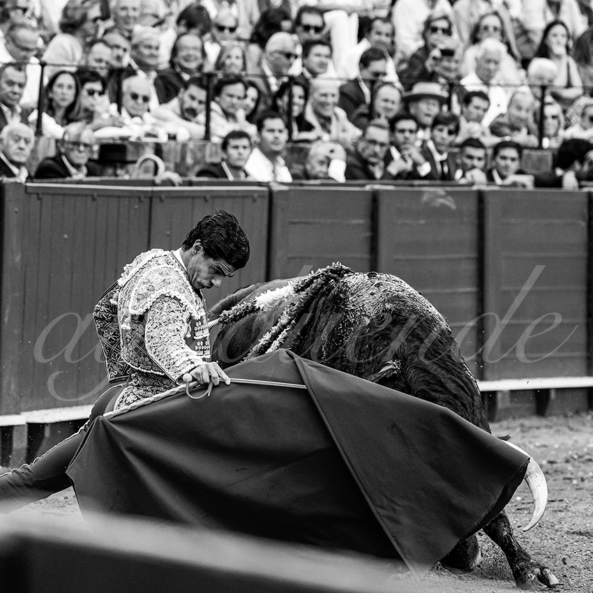 20220925 sevilla 023