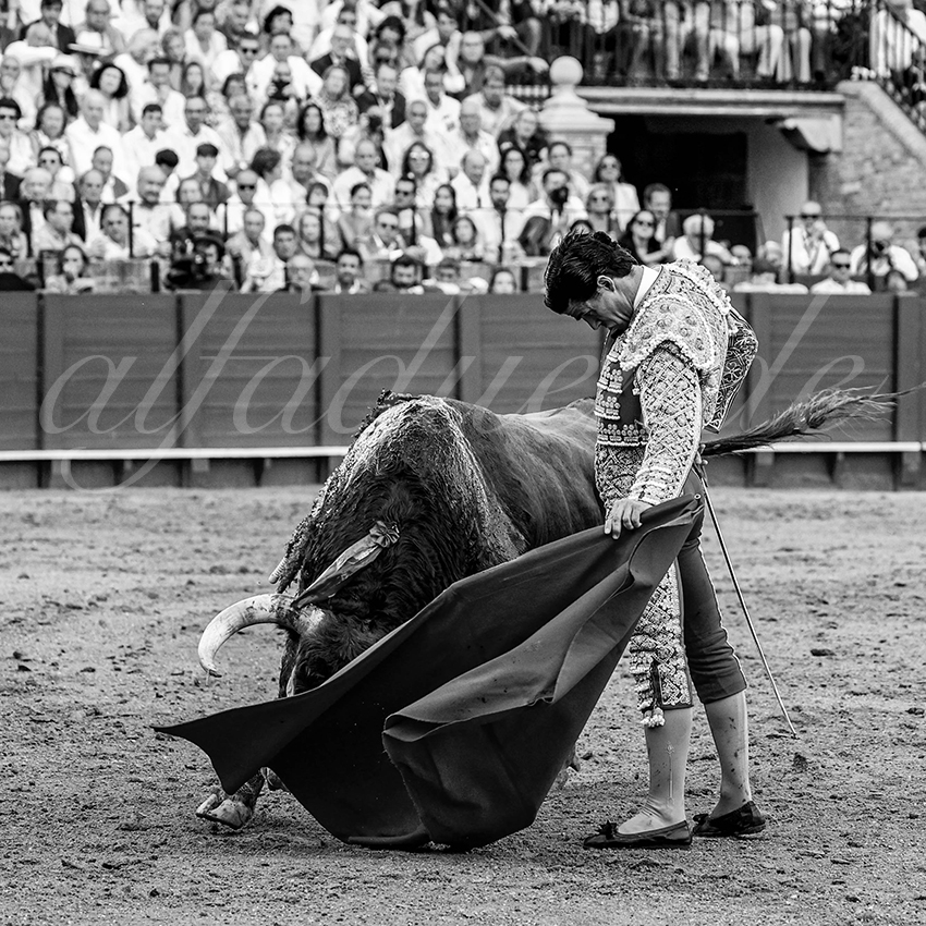 20220925 sevilla 025