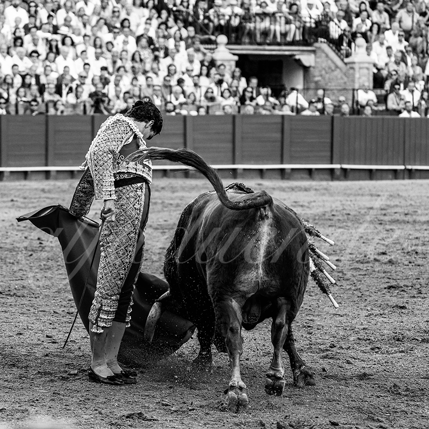 20220925 sevilla 029