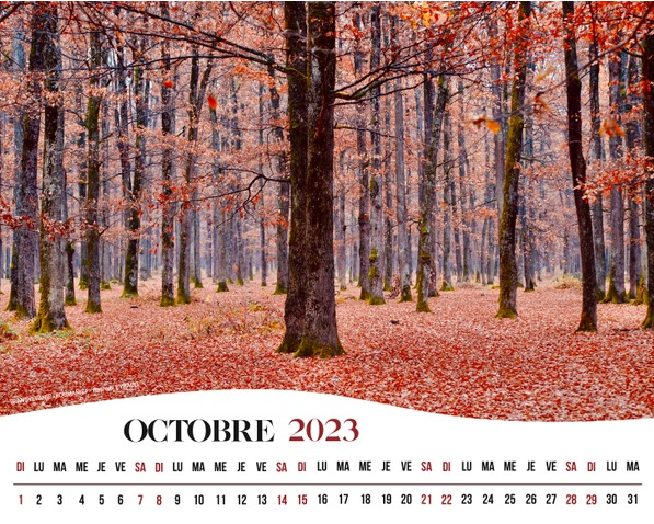 Re2023 010
