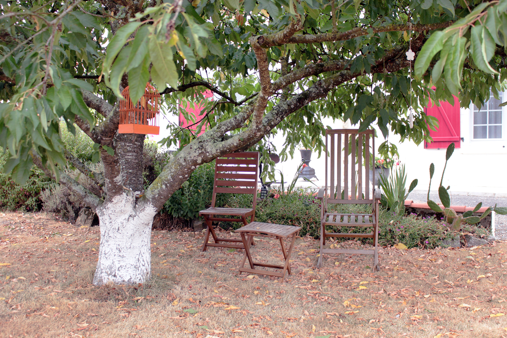 Arbre