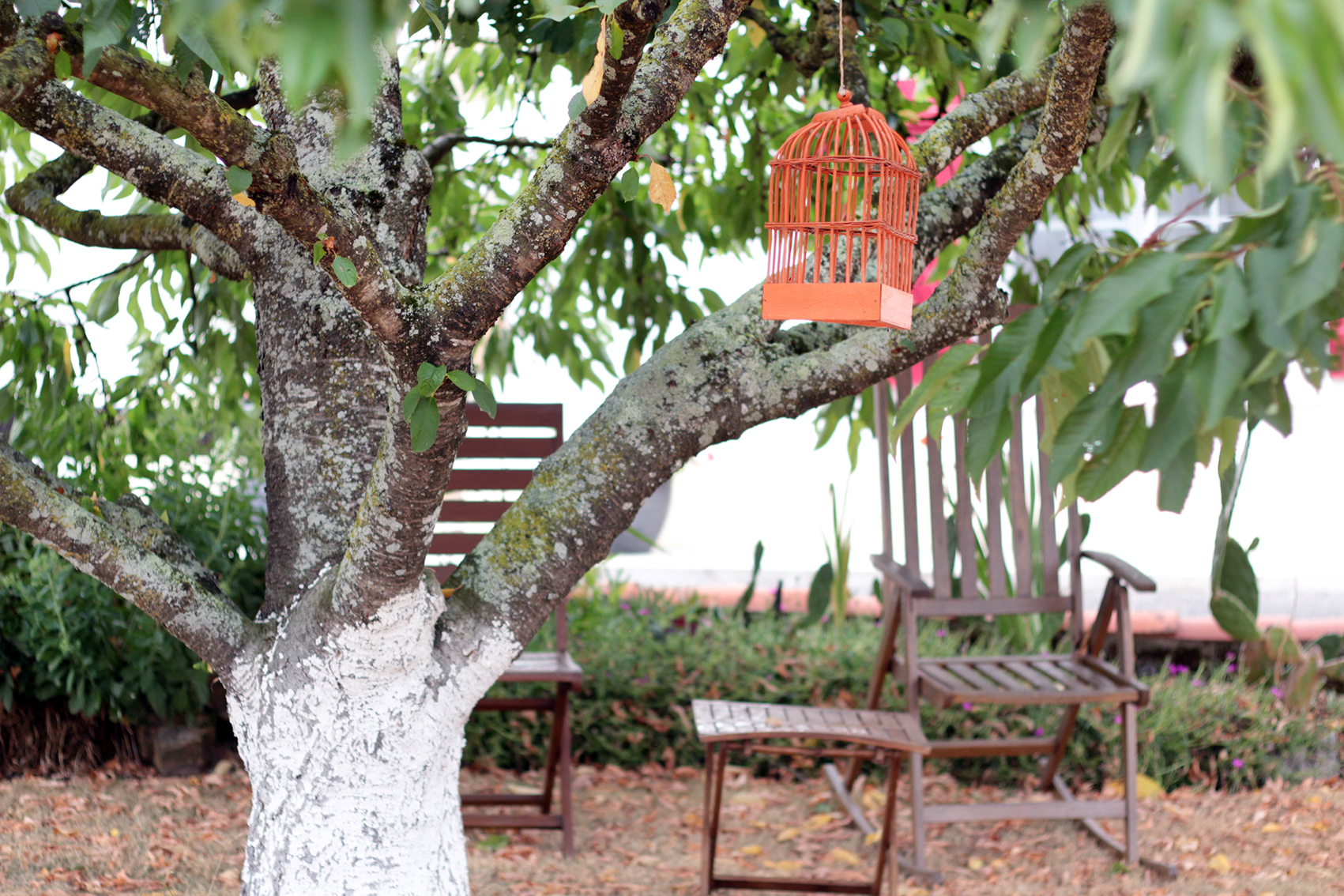 Arbre2