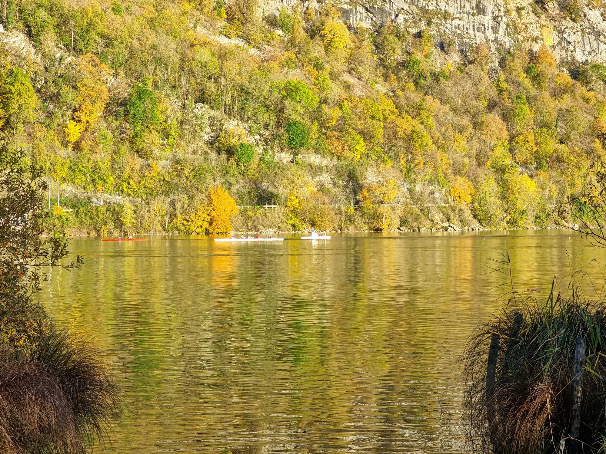 Photo avirons en automne