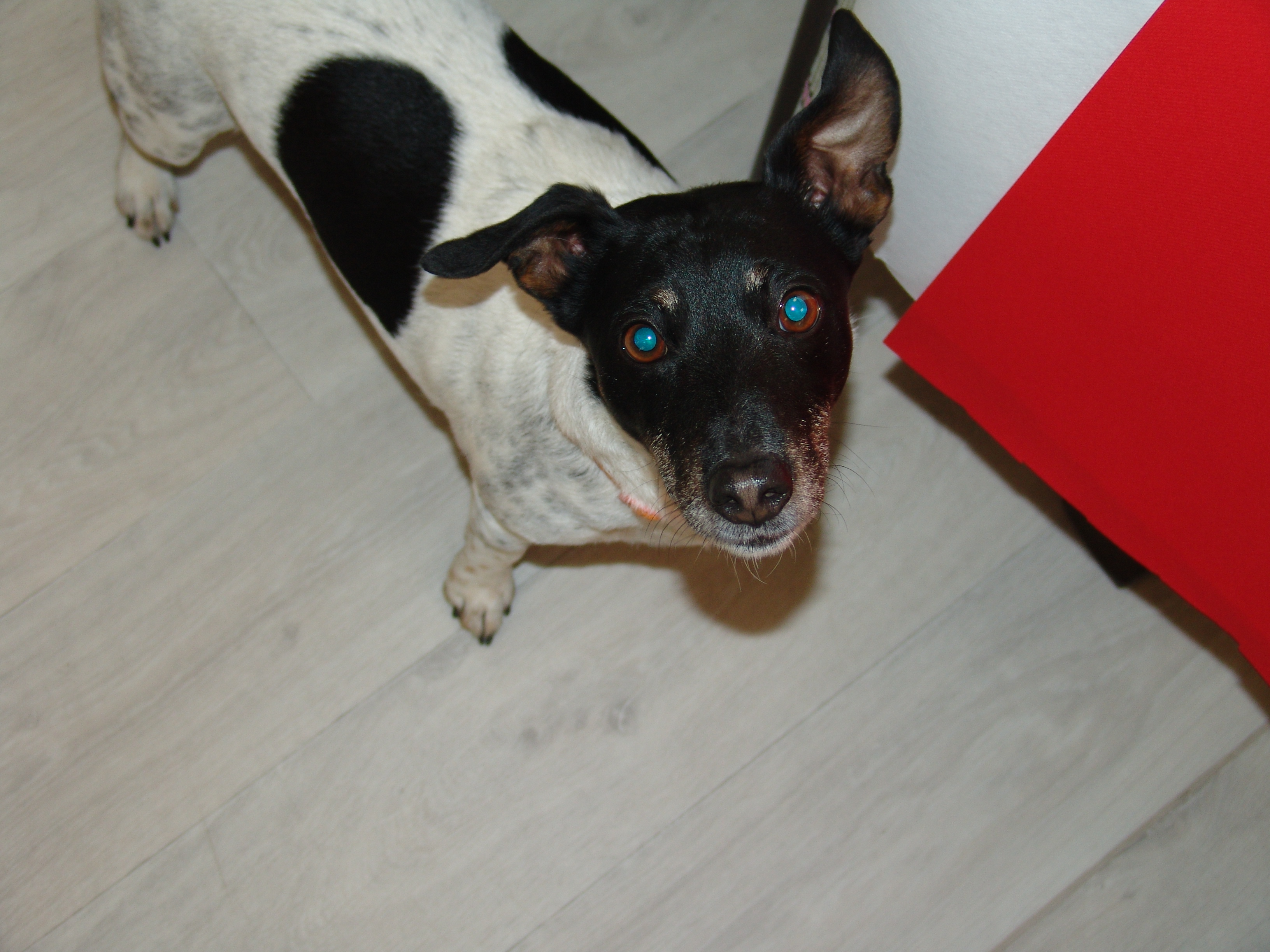 04 repas remise des lots 14 