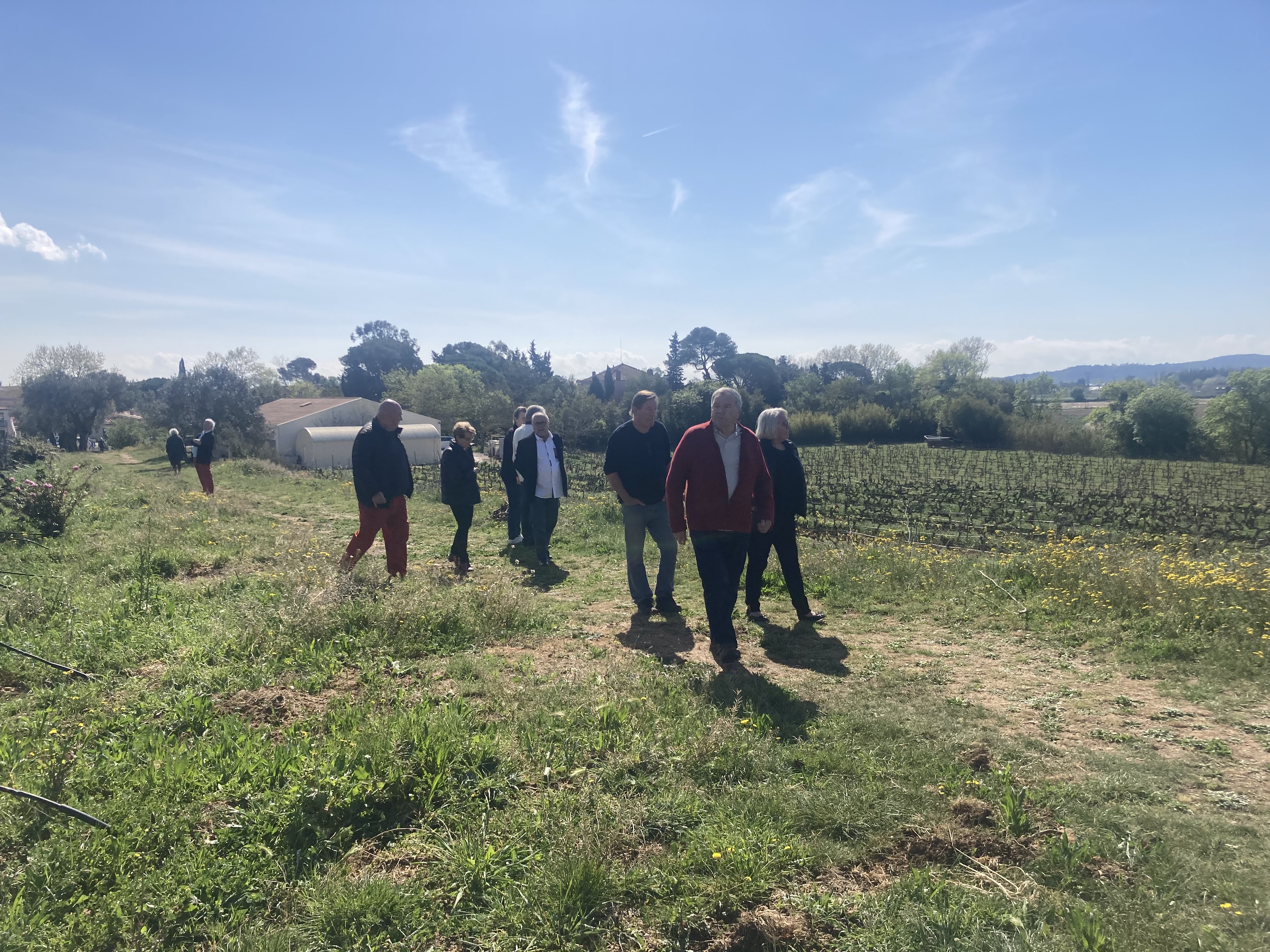 02 visite des vignes de la cave 6 