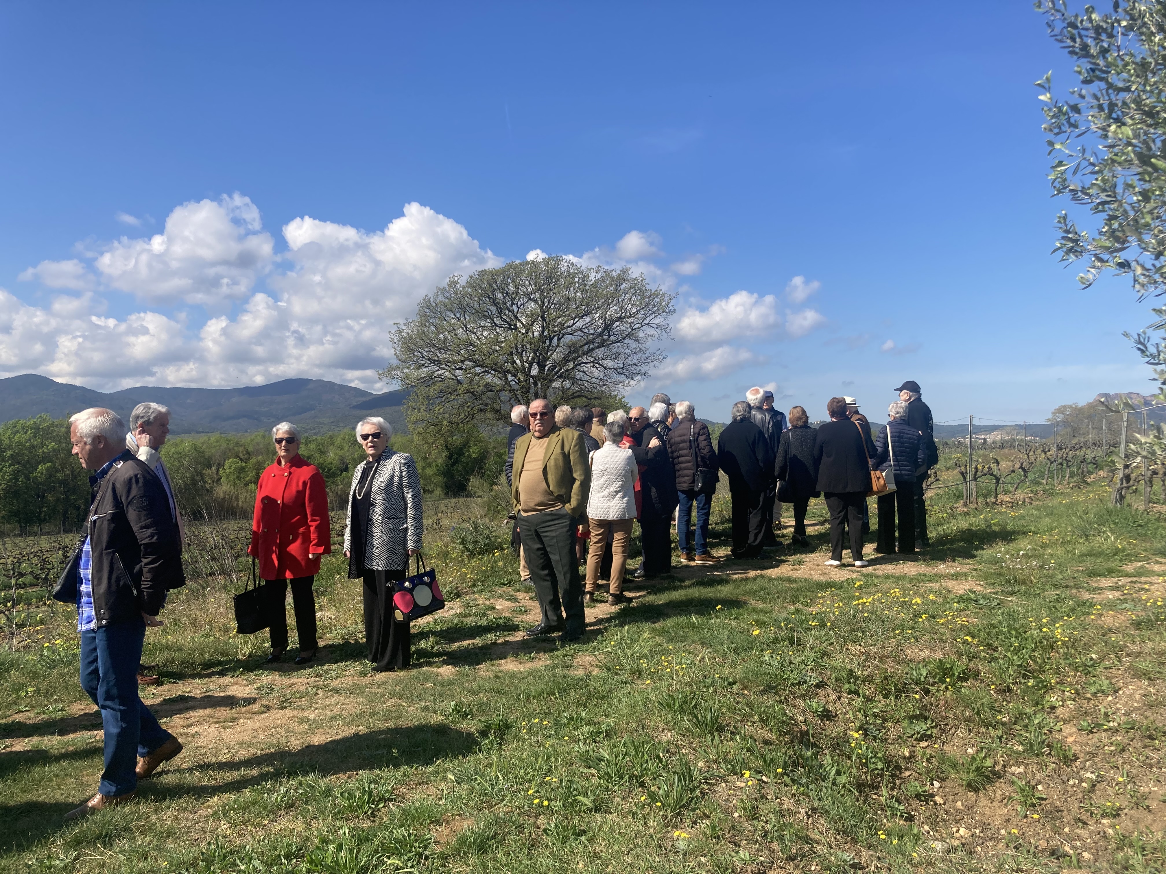 02 visite des vignes de la cave 4 