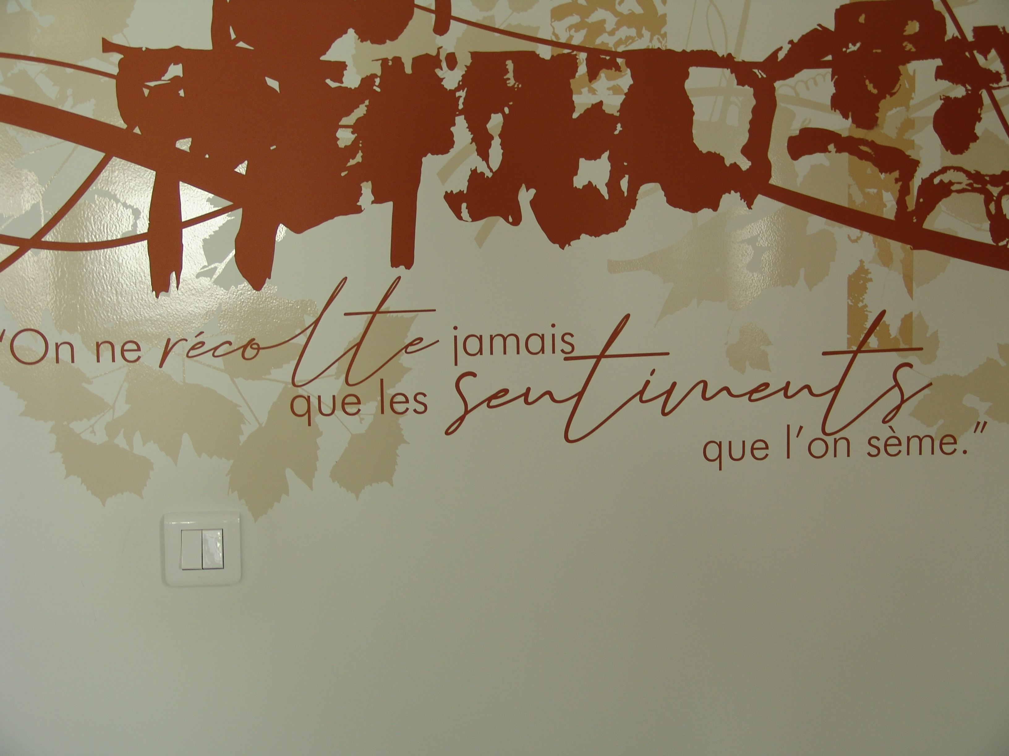 01 preparation salle 8 