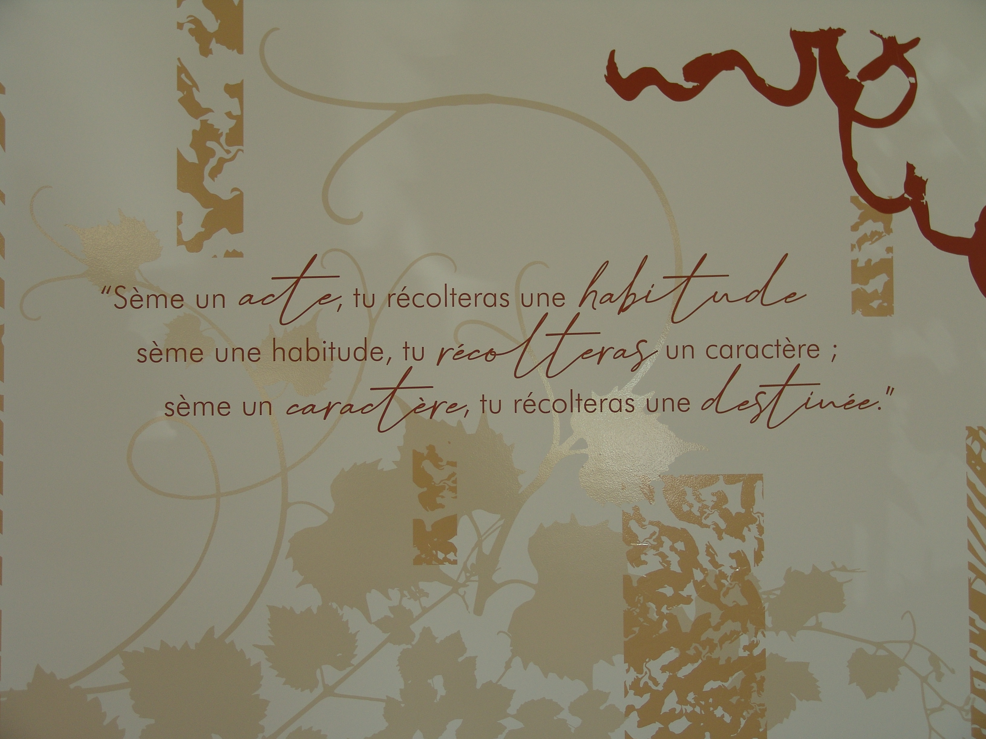 01 preparation salle 6 