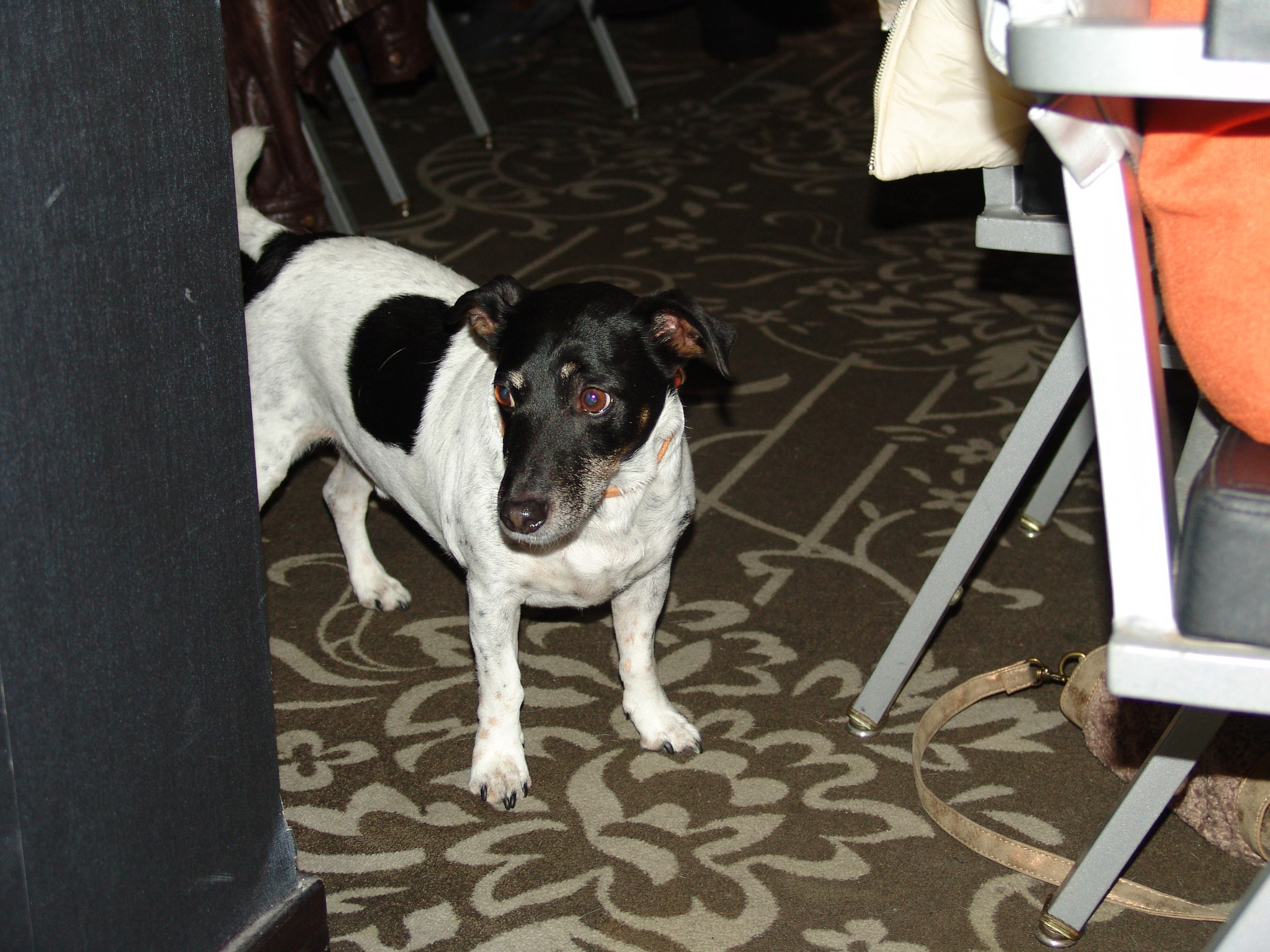 476408338 1392139128420139 2245615137861755562 n