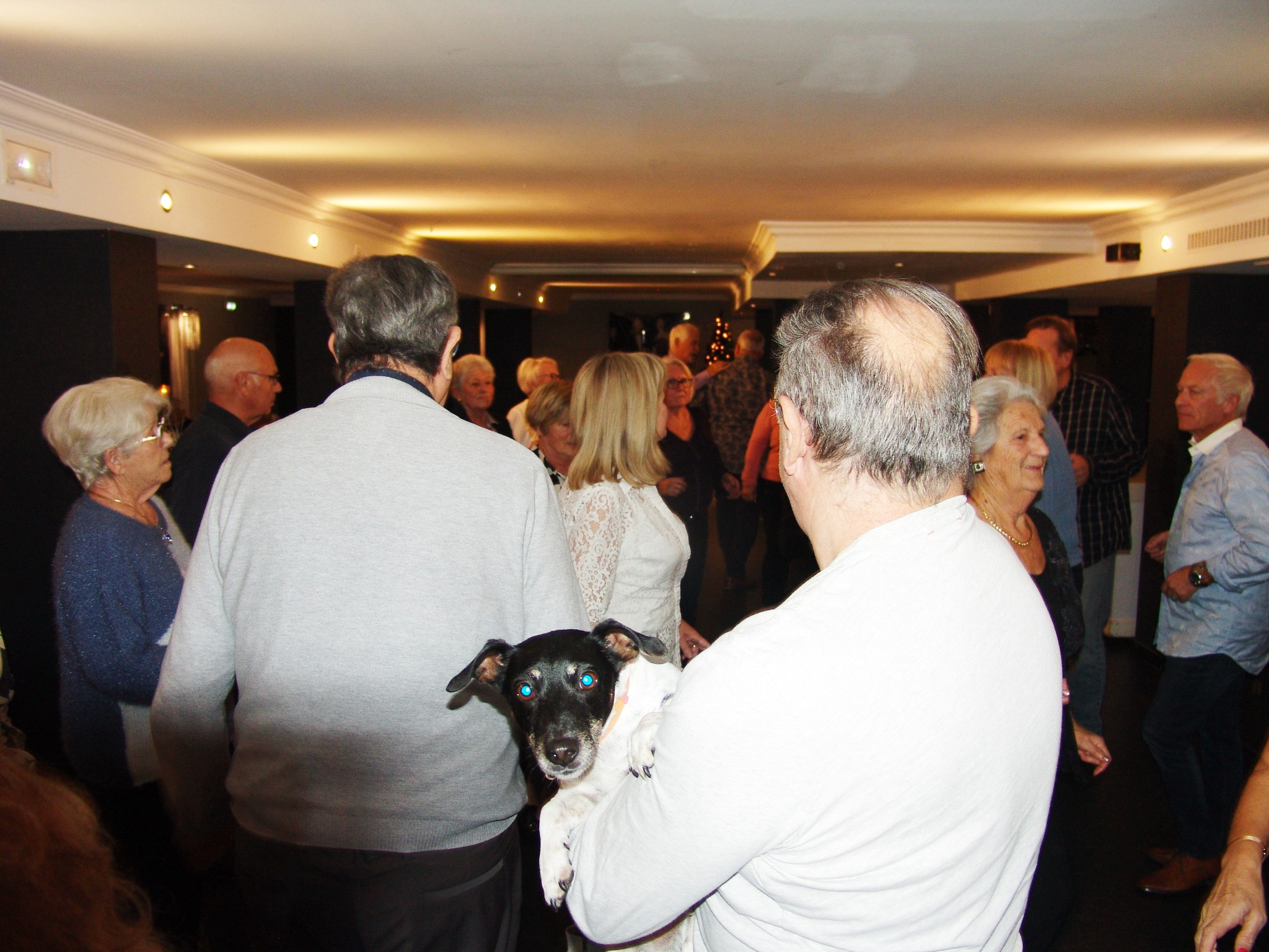 476829535 1392139451753440 3523241798484200226 n