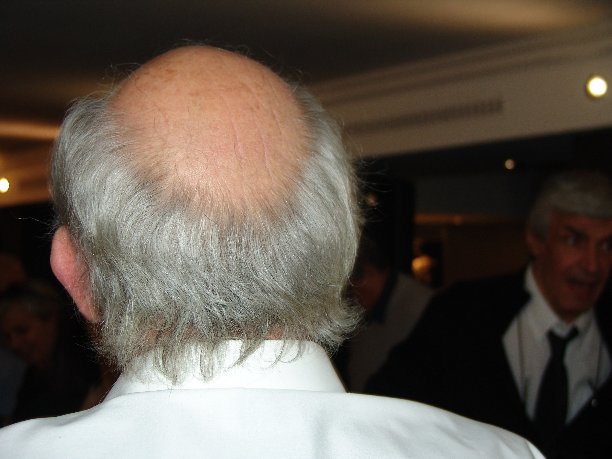 476799577 1392139578420094 6173196299465389952 n