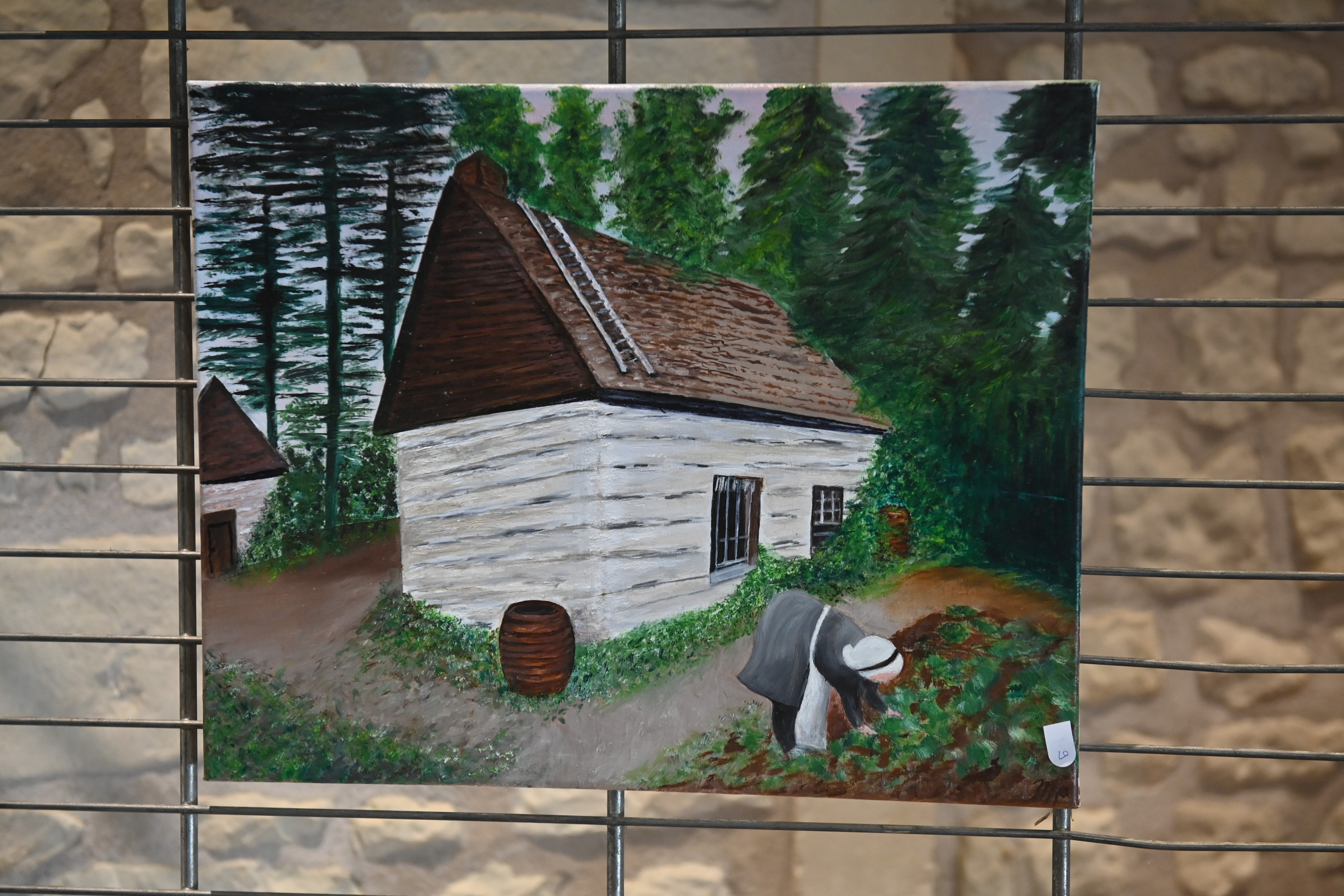 Dsc 3460