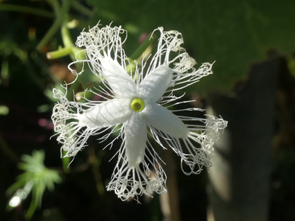 P1033328