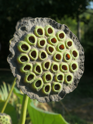 P1033211