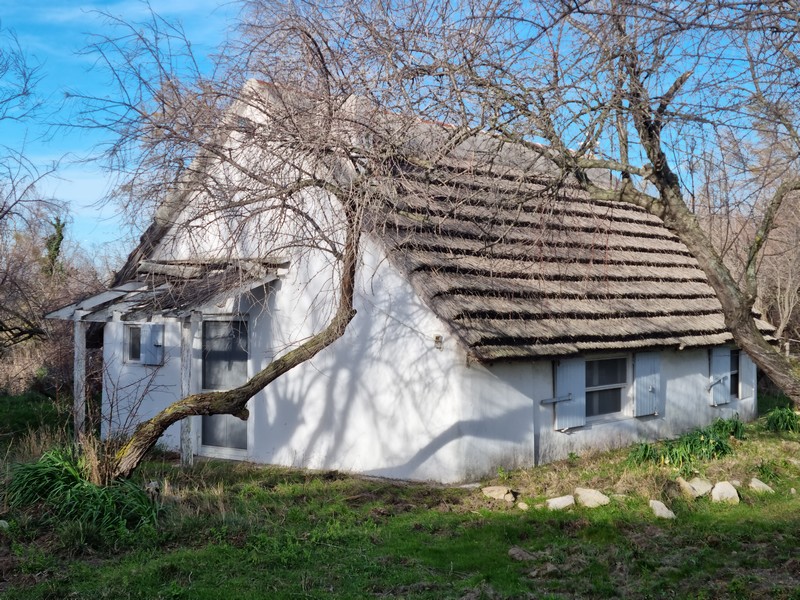 2023-02-04-Mailhan-10-