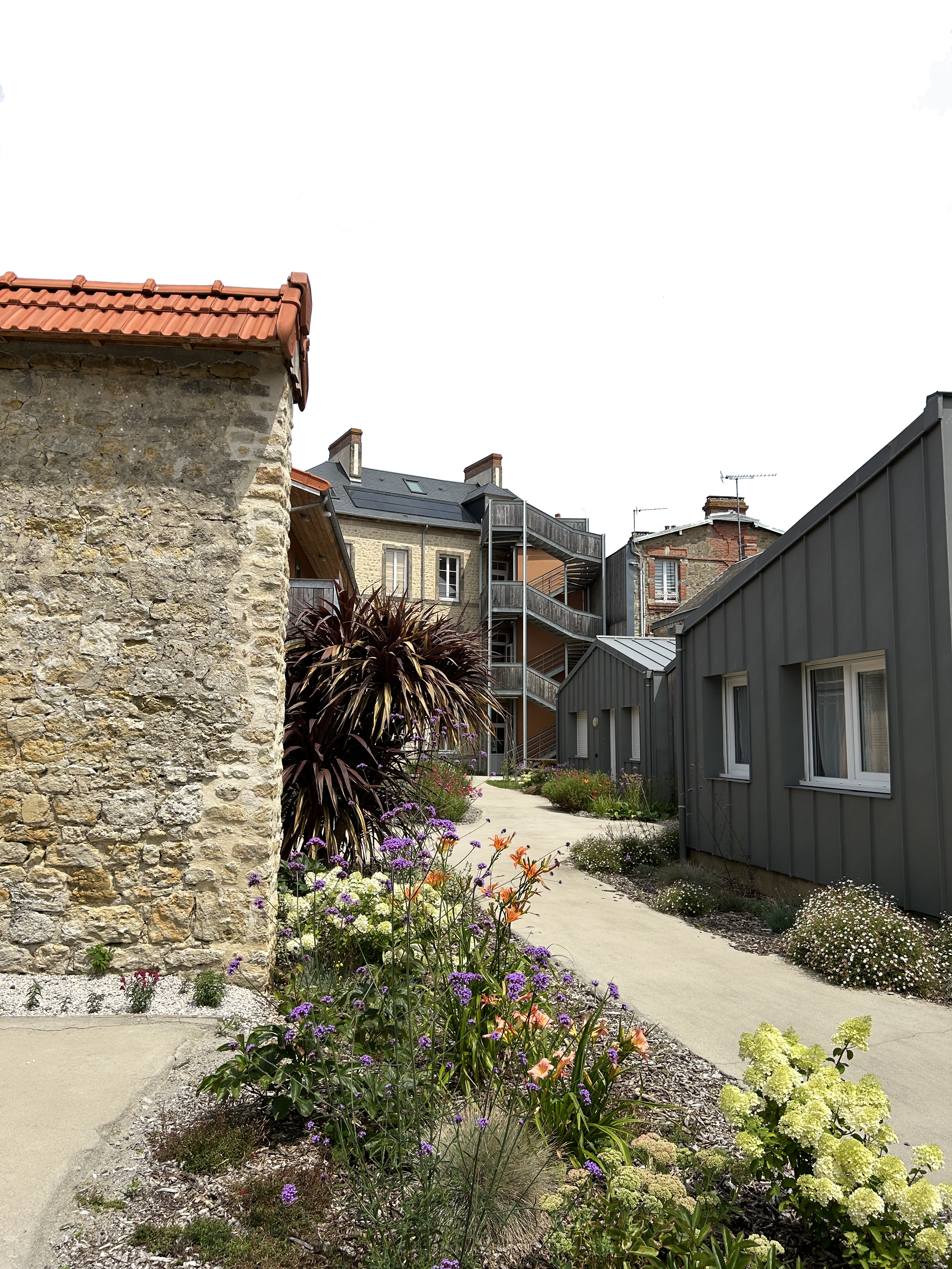 Image-1