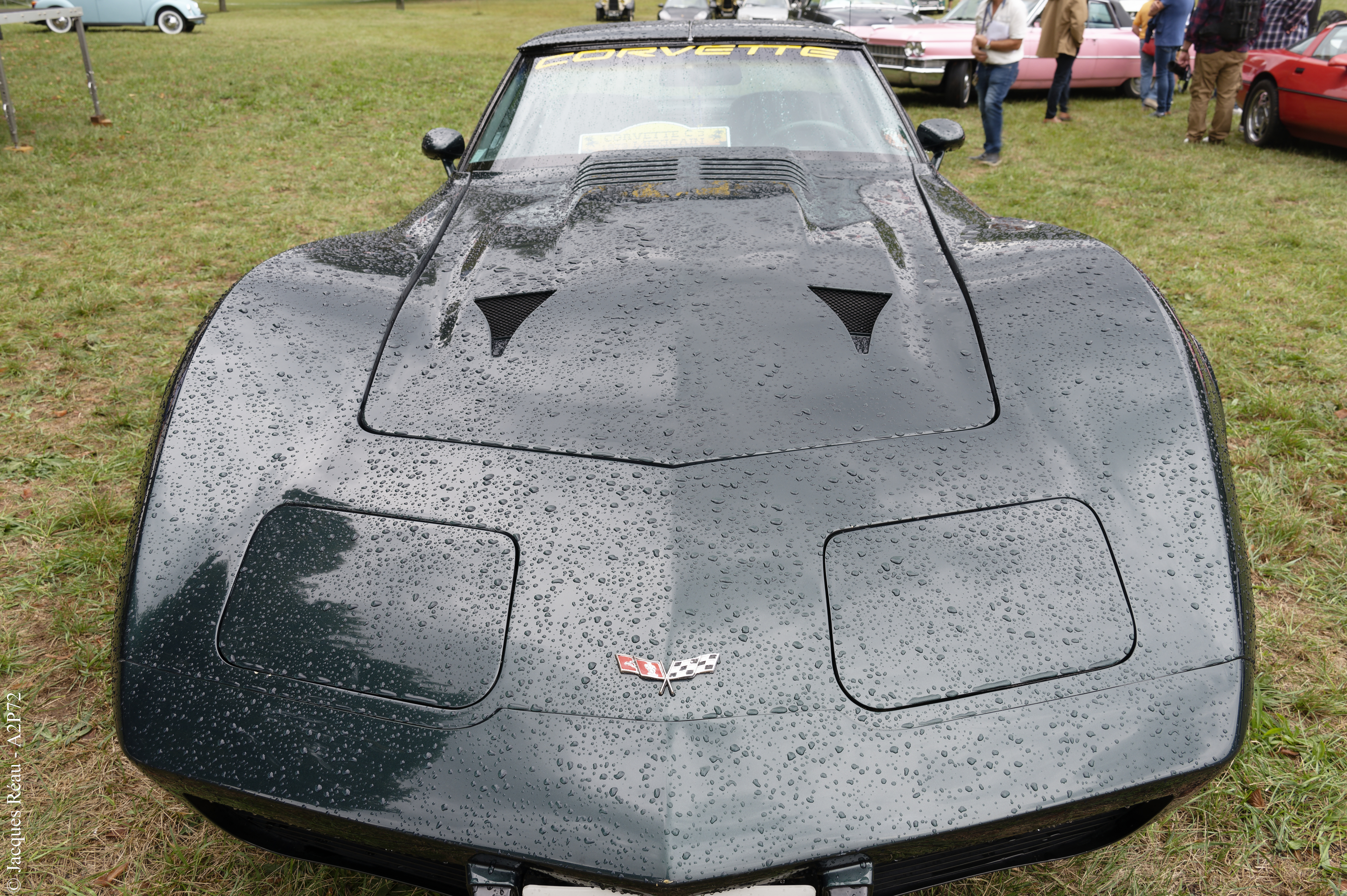 20230917 112dsc 3736 dxo
