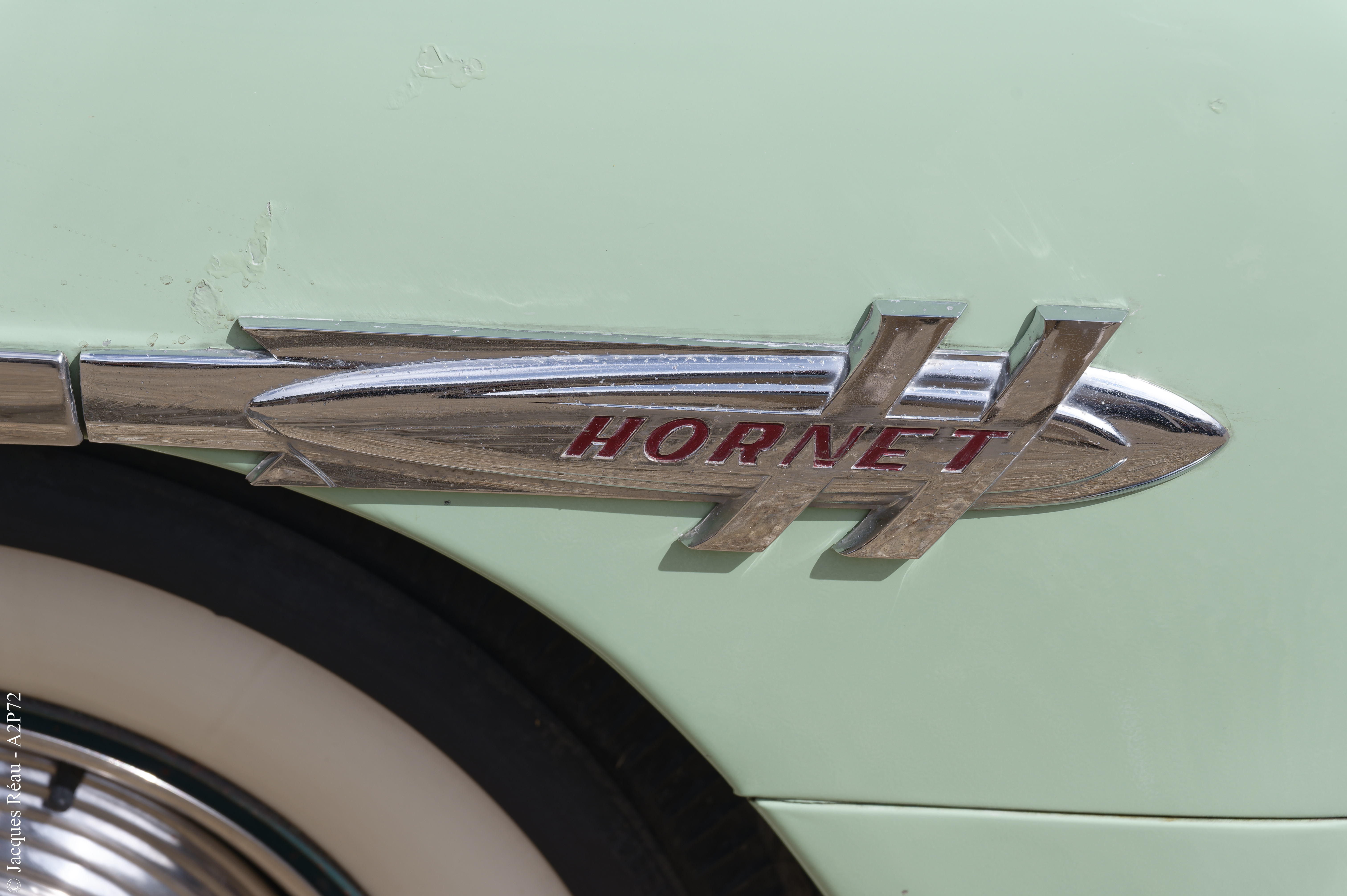 20230917 224dsc 3849 dxo